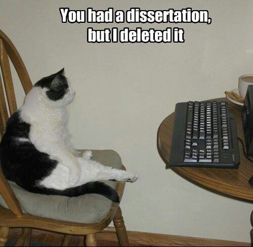 Cat staring at a computer, saying "you had a dissertation, but I deleted it"